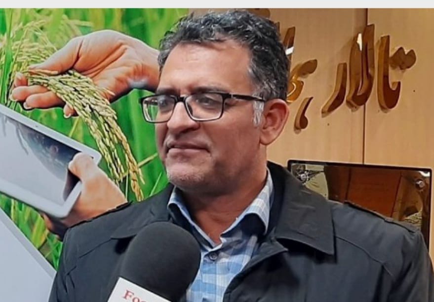 کاهش ۵۰ درصدی تولید زعفران در سال زراعی جاری