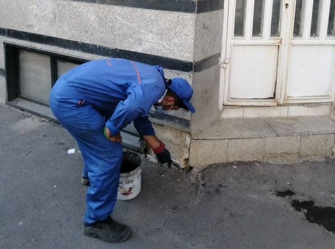 اجرای طرح ضربتی مبارزه با جانوران مضر شهری در منطقه ۱۰