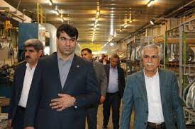 بازدید سرپرست بانک توسعه تعاون از طرح‌های اقتصادی استان مرکزی