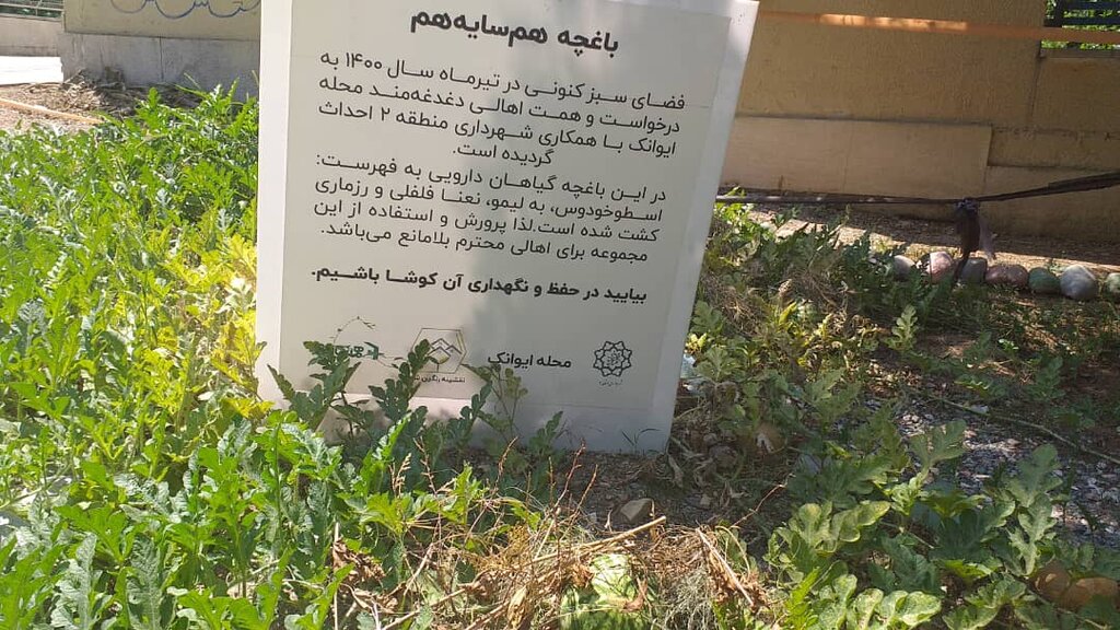 مشارکت شهروندان محله ایوانک در باغچه همسایگی