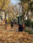 “گذر پاییز رنگارنگ” در بوستان‌های شمیران اجرا شد