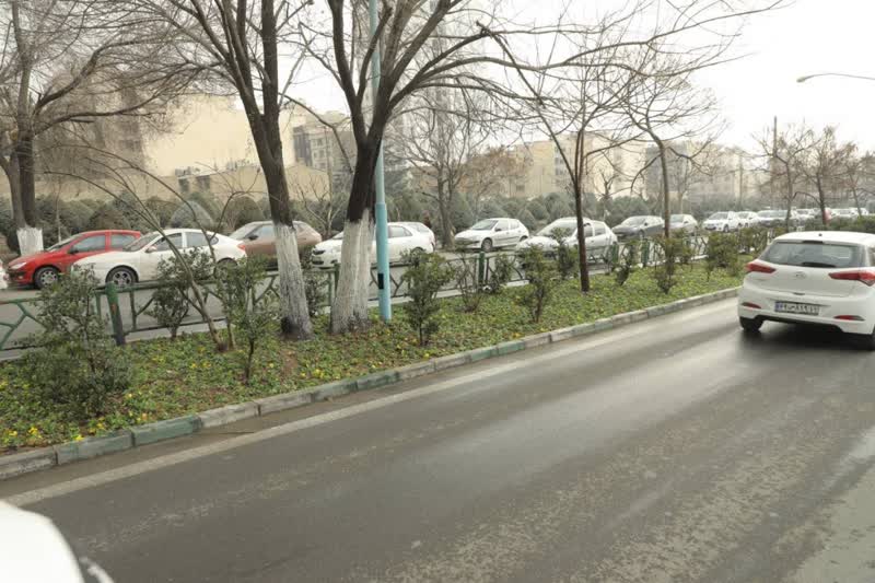 بزرگراه شهید حکیم با گل‌های فصلی مزین می‌شود