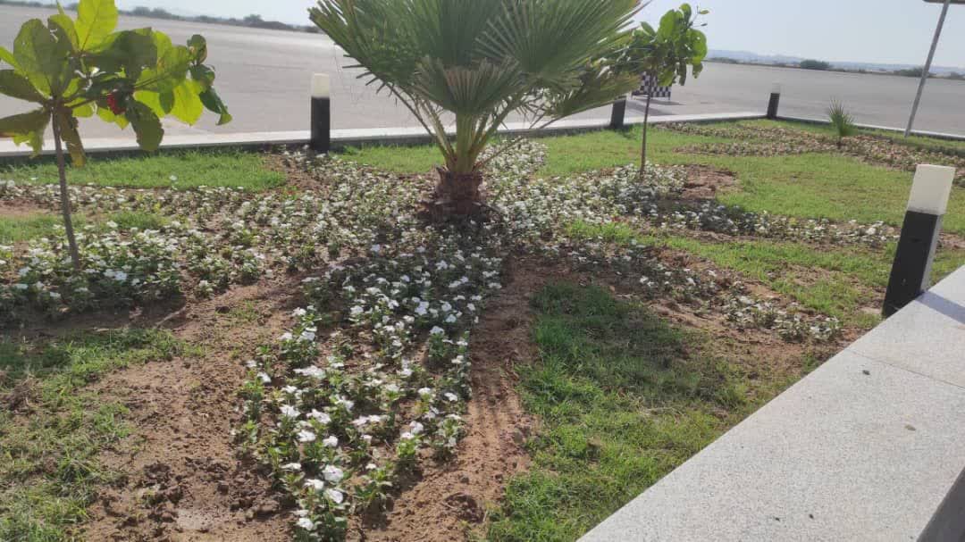 کاشت بیش از 300 هزار گل فصلی در قشم