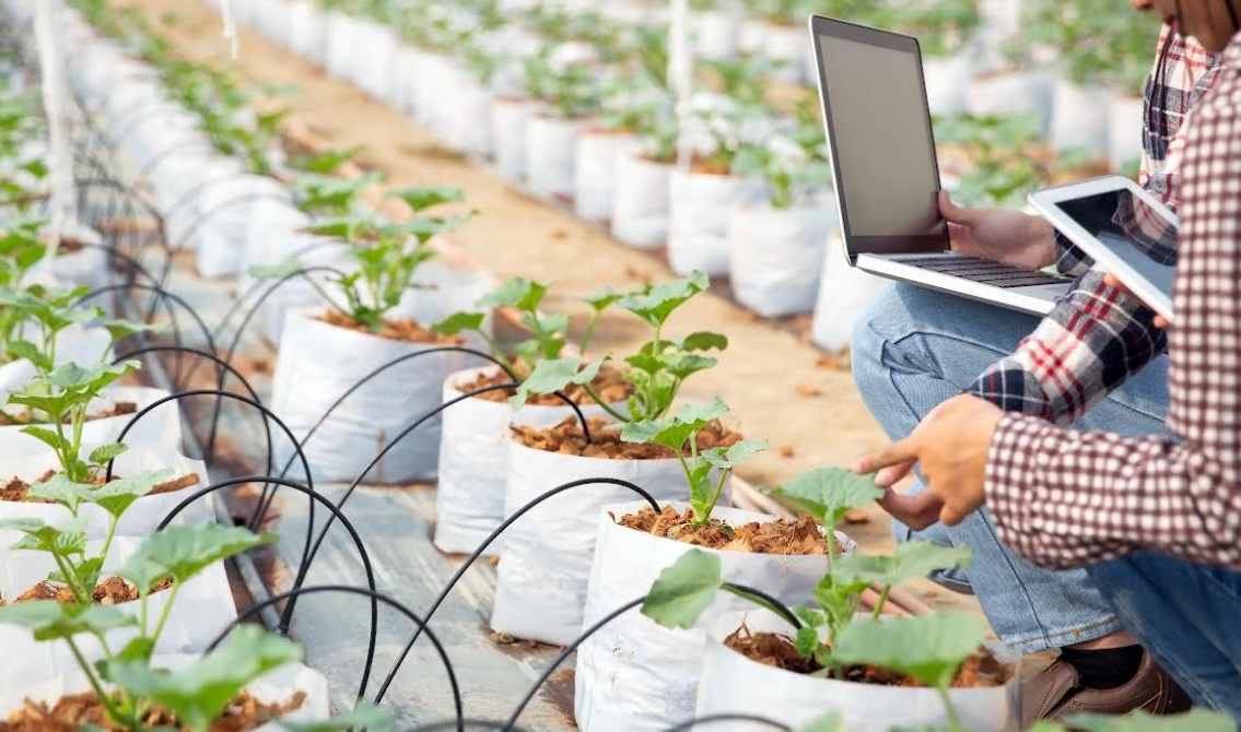 جهان اسرارآمیز اینترنت اشیاء