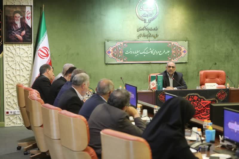 الحاق پیوست فضای سبز در طرح‌های عمرانی مانند راه‌سازی ضروری است