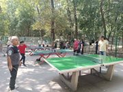 رقابت  ۵۰۰ ورزشکار در ایستگاه‌های ورزش شهروندی شمال تهران