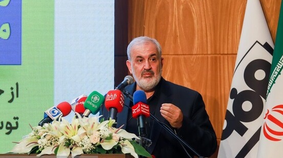 تعیین تکلیف ۳۱ هزار متقاضی خودروی وارداتی تا پایان سال