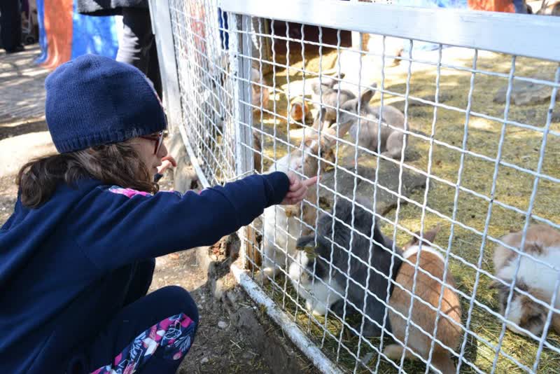 استقبال ۱۴هزار بازدیدکننده نوروزی از موزه دارآباد