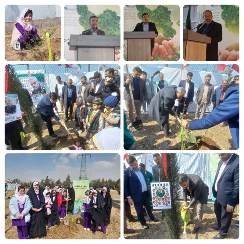 سرانه فضای سبز منطقه 20 شهرداری تهران بیش از میانگین شهر تهران است