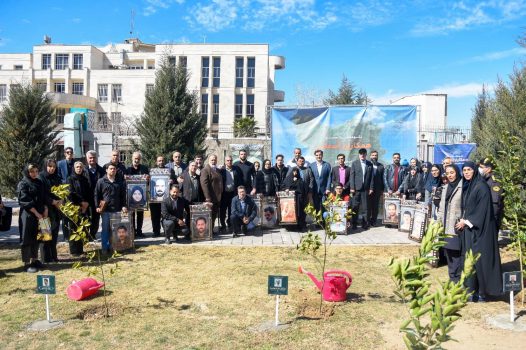 بزرگداشت یاد و خاطره همکاران آسمانی منطقه ۱۴ تهران با کاشت نهال