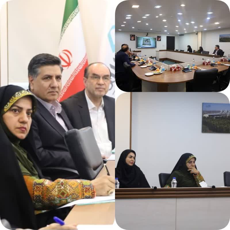 فراهم ساختن زمینه‌های توسعه همکاری‌های بین سازمان منطقه آزاد چابهار و شرکت سرمایه‌گذاری نیروگاهی ایران