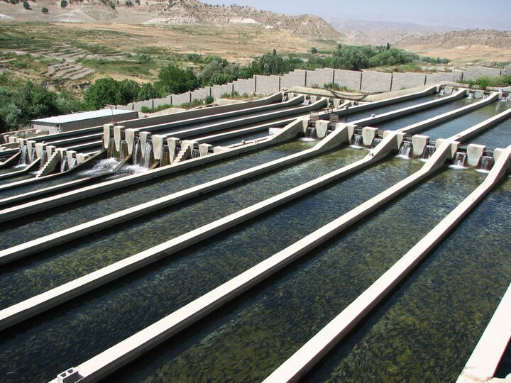 پساب، جایگزین آب مصرفی در صنایع می‌شود