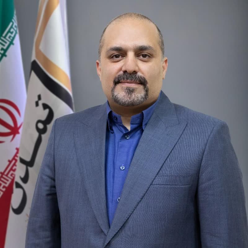 مدیرعامل تامین سرمایه تمدن منصوب شد