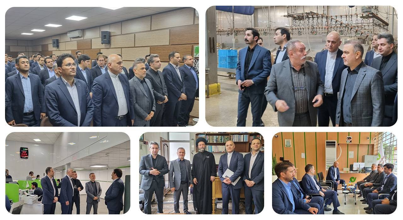 تأمین مالی برای کسب‌وکارهای خرد از وظایف کنونی بانک قرض‌الحسنه مهر ایران است