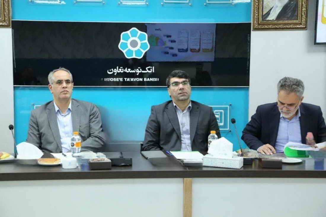 شعب استانی بانک توسعه تعاون باید در تحقق برنامه‌های ابلاغی اهتمام کامل داشته باشند