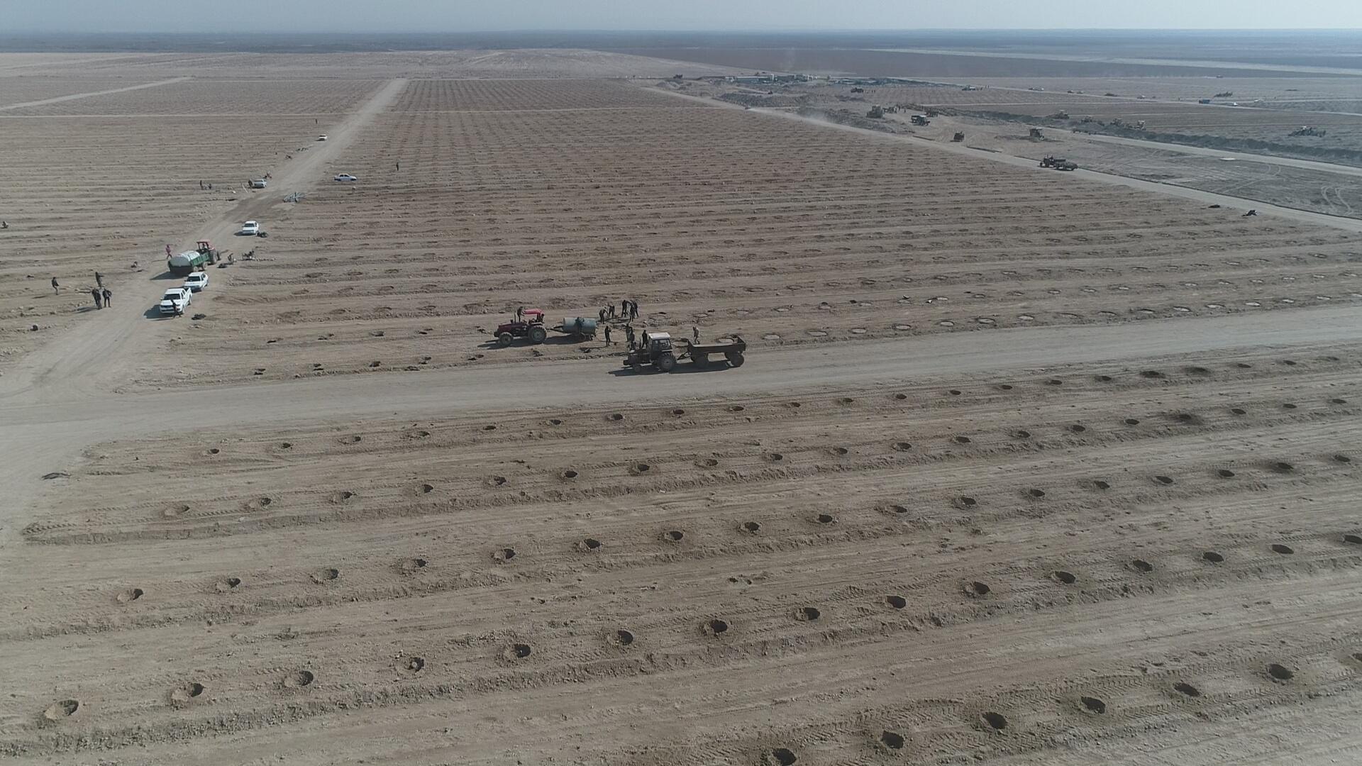 واگذاری 564 هکتار زمین برای اجرای طرح های تعاونی زراعت در منطقه آزاد ماکو