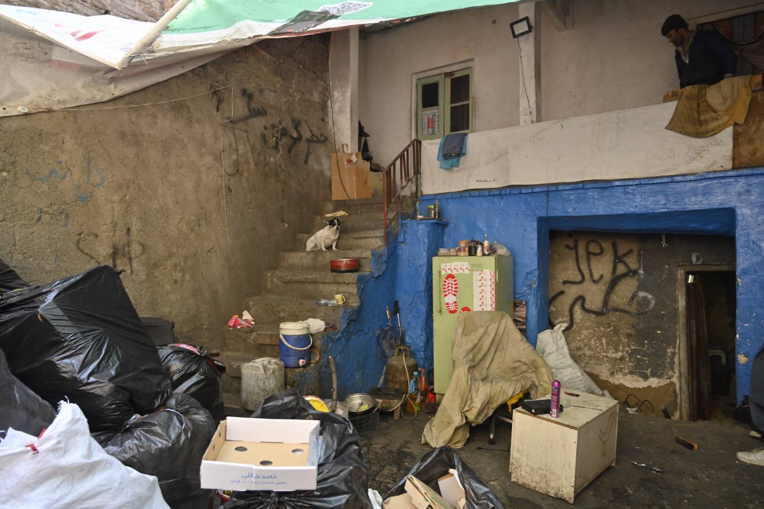 ساماندهی نقاط بی دفاع شهری و 1500 آسیب‌دیده اجتماعی در منطقه یک