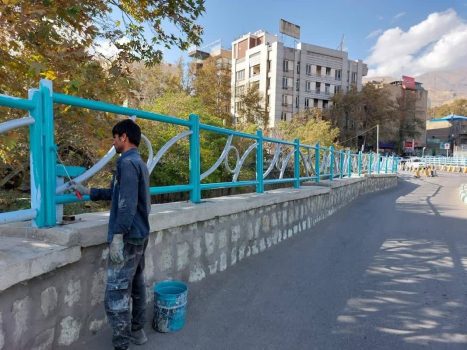 رنگ آمیزی کافوها و جداول تا المان‌های شهری منطقه یک تهران