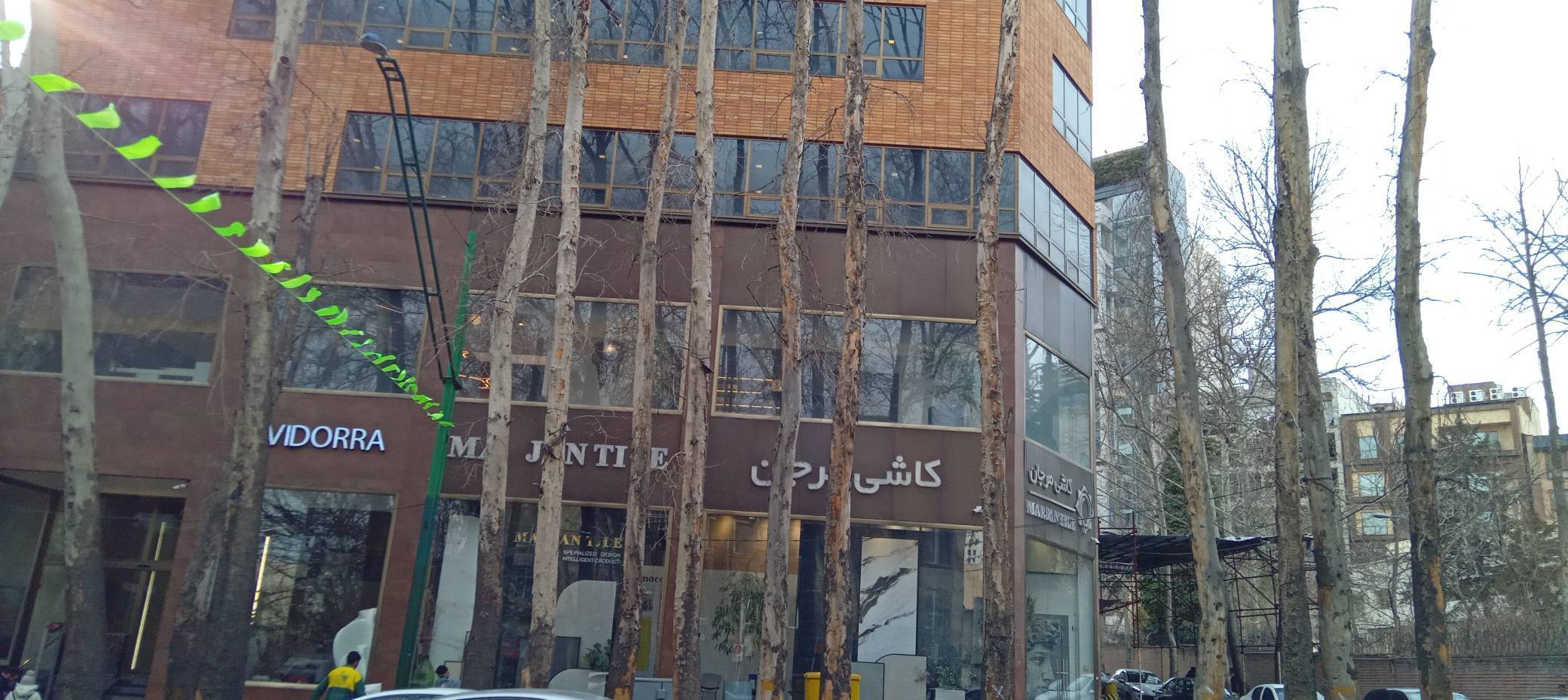 جمع آوری درختان خشک خیابان ولیعصر، از امشب آغاز می‌شود 