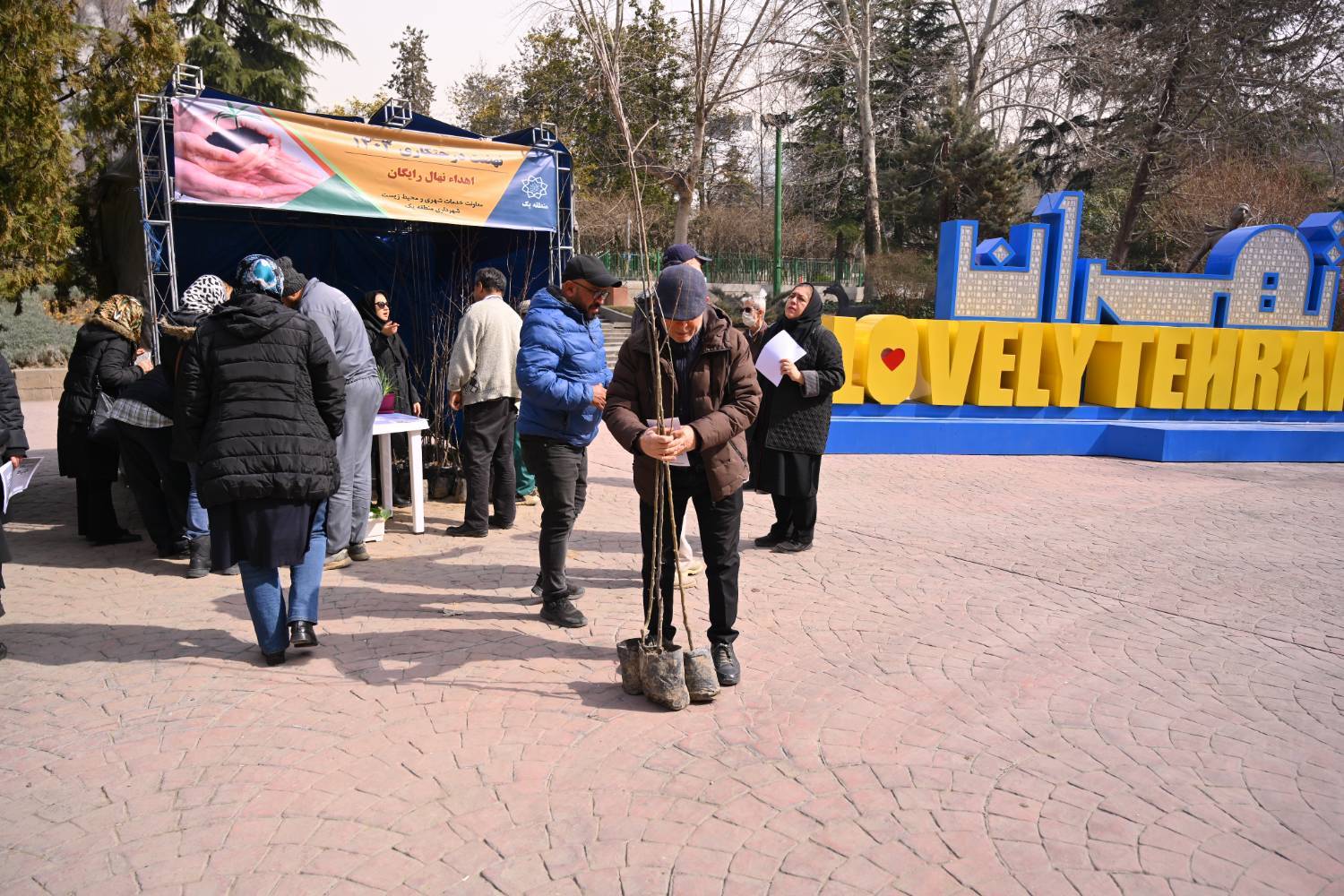 کاشت ۳۶ هزار اصله نهال در منطقه یک با اولویت معابر محلی