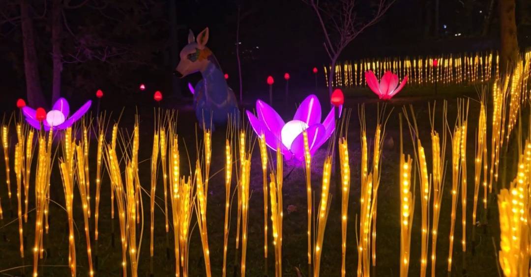 اجرای پارک نوری در بوستان نیاوران؛ جاذبه‌ای جدید برای گردشگران نوروزی