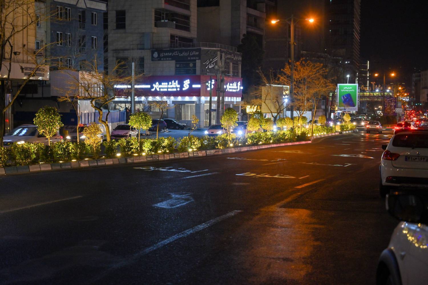 کاشت بیش از ۱۸ هزار اصله درختچه در معابر اصلی منطقه یک