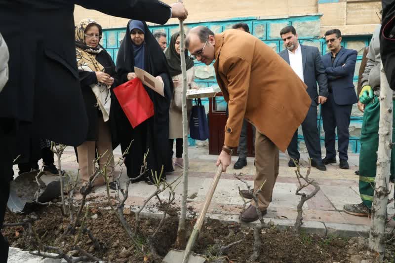 خانواده شهدای منطقه ۲ نهال ایثار غرس کردند