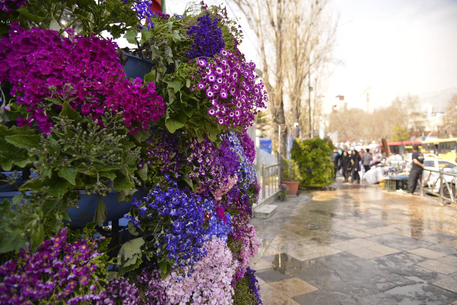 کاشت بیش از ۱۳ هزار گل فصلی در طرح استقبال از بهار