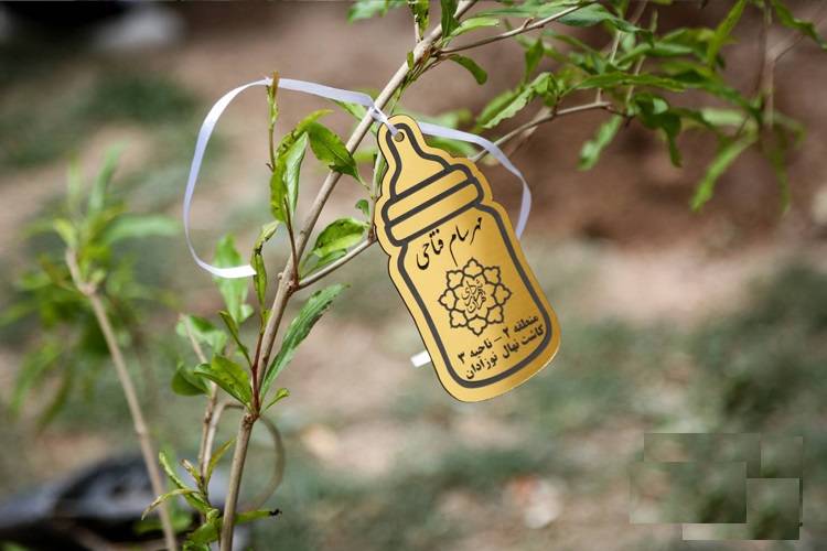 بوستان دوستدار کودک؛ میزبان رویش 45 نهال زندگی