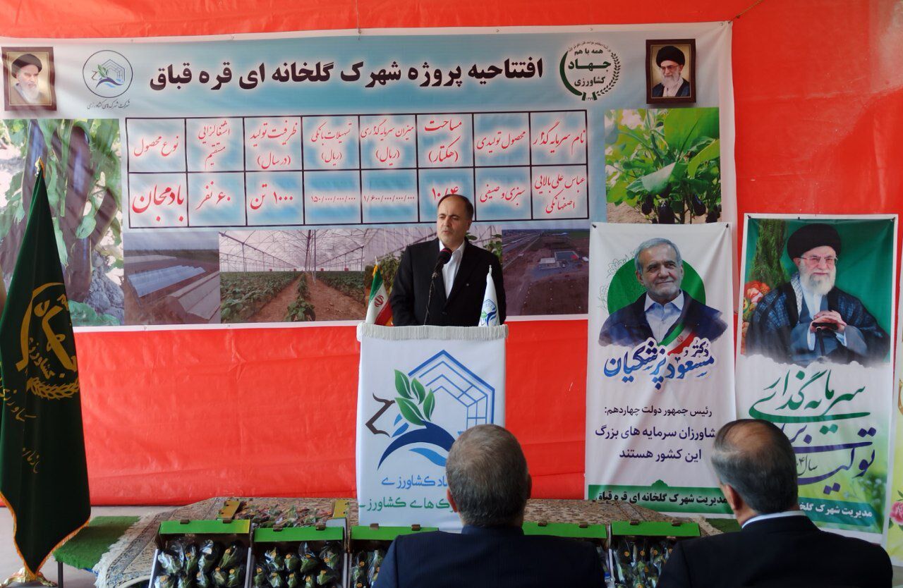 ۴۰۰ میلیون دلار محصولات گلخانه‌ای صادر شد