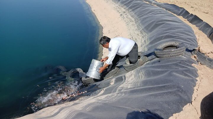 رهاسازی آبزیان بومی در ۶ استان همزمان با هفته جهاد کشاورزی