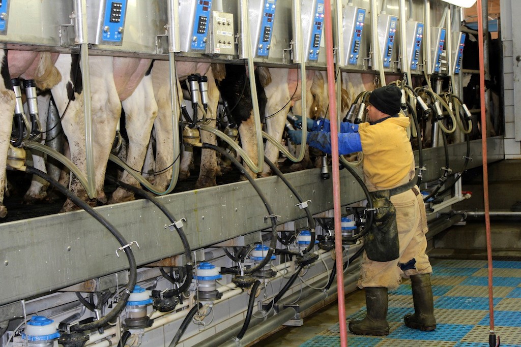 خرید بهترین دستگاه شیردوش؛ معرفی انواع مدل ها و قیمت