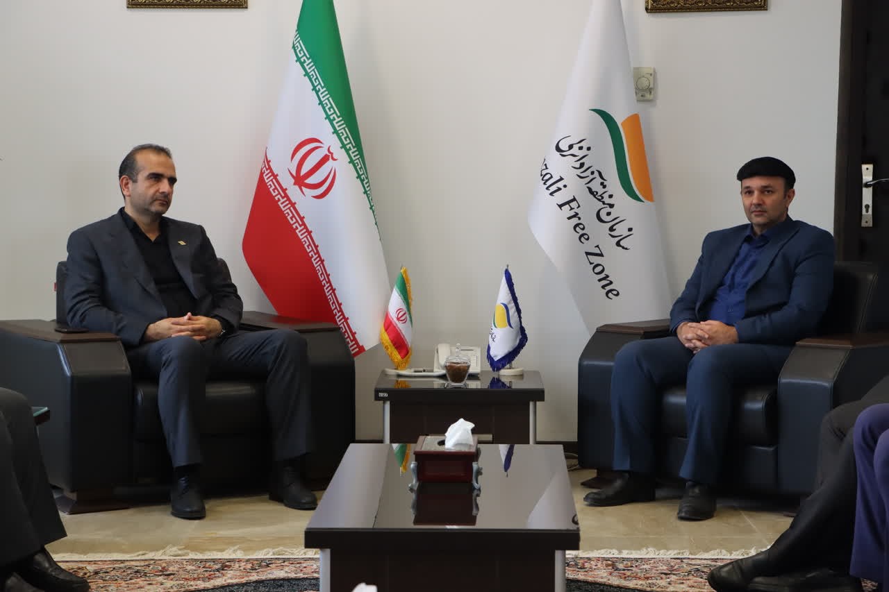 زمینه‌های توسعه همکاری‌های مشترک در حوزه آموزش مهارتی توسط منطقه آزاد انزلی