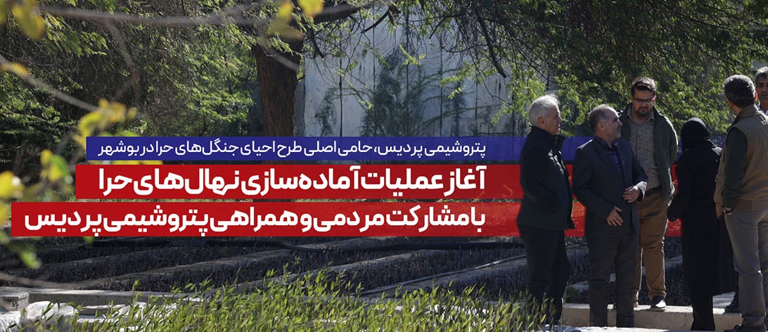 پتروشیمی پردیس، حامی اصلی طرح احیای جنگل‌های حرا در بوشهر