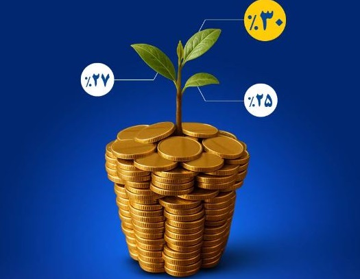 ۲۵درصد سود مشارکت بیمه‌های زندگی بیمه کوثر در سال ۱۴۰۳