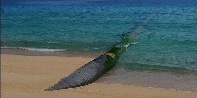 فلات مرکزی تشنه آب است و فولاد مبارکه سردمدار تامین آب