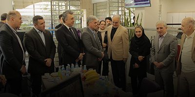 رشد قیمت سهام بانک اقتصاد نوین