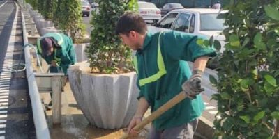 آغاز ساماندهی و زیباسازی خیابان شهید فرحزادی