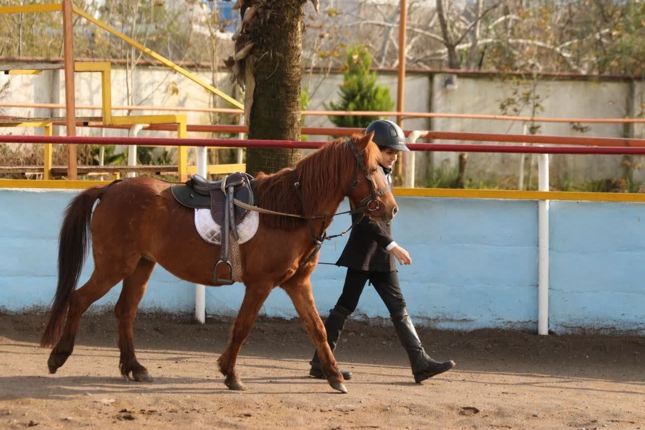 بیستمین جشنواره ملی زیبایی اسب کاسپین در منطقه آزاد انزلی برگزار شد