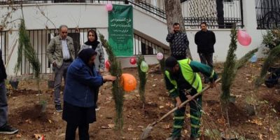 کاشت ۱۴۵۰ اصله نهال در منطقه یک تهران