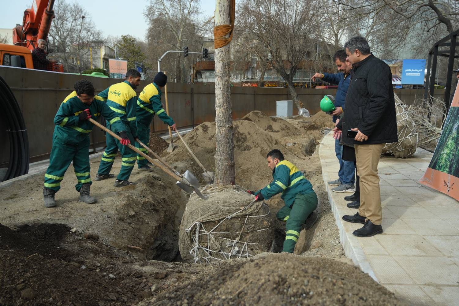 ۱۳ اصله درخت دیگر به فضای سبز میدان تجریش اضافه شد