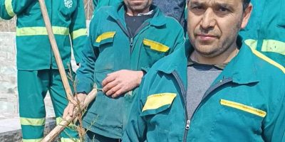 برگزاری آیین ملی و فرهنگی درختکاری در منطقه یک