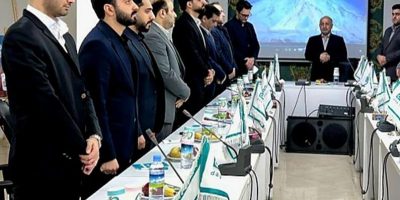 توسعه پایدار در بستر تحول دیجیتال سیاست بیمه دی در سال ۱۴۰۵