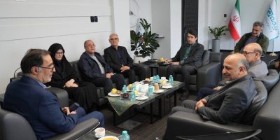 تقدیر معاون رییس جمهوری از خدمت رسانی بیمه دی