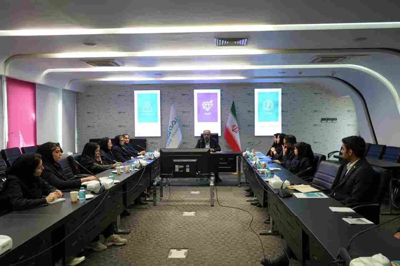 تأکید بر بهره‌گیری از ظرفیت‌های تخصصی در انعکاس دستاوردهای بیمه‌ای
