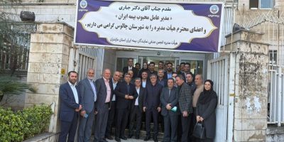 سهم ۷۰ درصدی بیمه ایران از سرمایه صنعت، تضمین‌کننده ثبات بازار